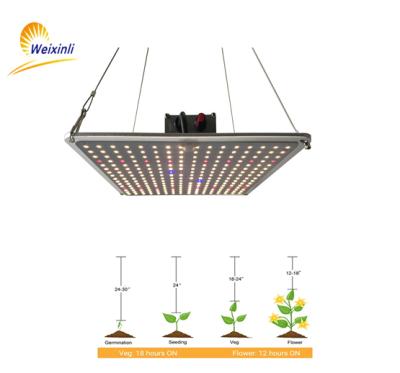 China Seed Starting 120w Adjustable Spectrum LED Grow Lights LED Hydroponic Plant Grow Lights Weixinli 281b for sale