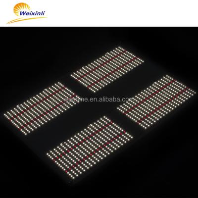 China Seed Start Led Grow Light 301h Weixinli lm301h lm301 301b Grow Full Spectrum Led IR 3000k Red 5000K 3500K 6500K for sale