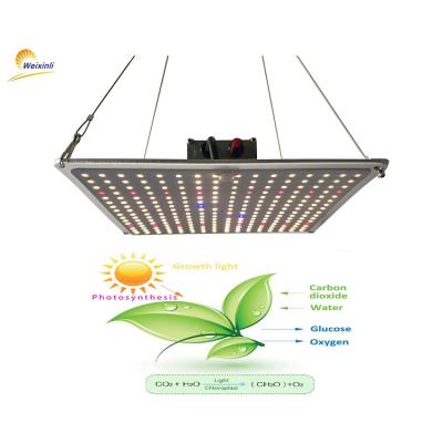 China Seed Starting SF1000 lm301h lm301b TOP Bin 120W Grow Light LED TS Dimmable 1000 Led Grow Light Full Spectrum With IR UV for sale