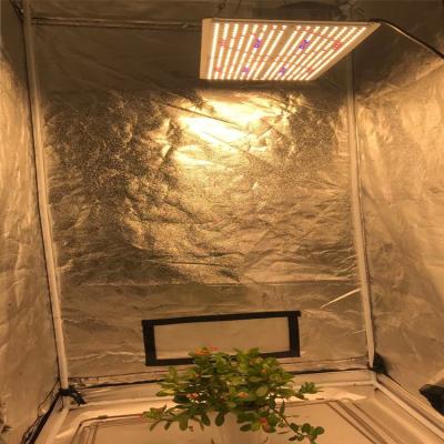 China Seed Starting 240w Panel lm301b lm301h lm561c 240w 480w 650w 660nm 3500K Diy Kit Weixinli Led Grow Light With IR UV for sale