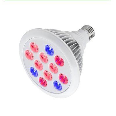 China Fruit Vegetable Greenhouse Flower Indoor E27 Grow Lights 12w 24w 36w Led Growing Spot Low Voltage Agricultural Led Grow Lights High Quality In Zoopo for sale