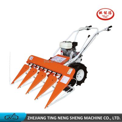 China Grain Harvester Harvesting Machine Rice Harvest Machine Olive Harvester for sale