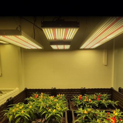 China Seed Starting 288 Led Board Led Grow Light LM301H 3000K 3500K 4000K MID PIT 150W Dimmable Driver for sale