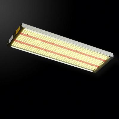 China Seed Starting 2021 New LED Grow Light Horticulture 1000W Led Grow Lights 20W Sunlike Led Grow Light Panel for sale