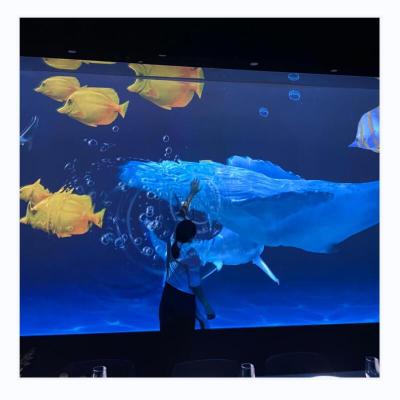 China Indoor / Outdoor The Best Seller Holographic Immersive Interactive Wall for sale