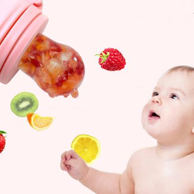 China Hot Selling BPA Free Baby Silicone Fruit Vegetable Nipple Nipple Feeder Feeder Soothing Food Grade Animal Animal Shape Fruit Pacifier for sale