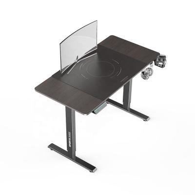 China (Height) Multifunctional Motor Adjustable Free Shipping Electric Lifting Desk Tables Gaming Position Computer Height Adjustable Desk for sale