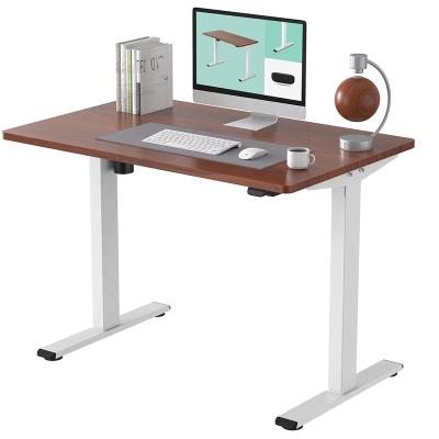 China Home Office Adjustable Standing Table (Height) Electric Adjustable Height Gaming Desk With Chocolate Top And White Frame for sale