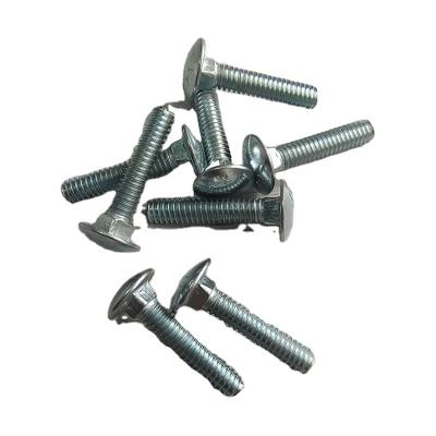 China Stainless Steel Factory Supply Best Quality Square Neck Head Carriage Bolt for sale