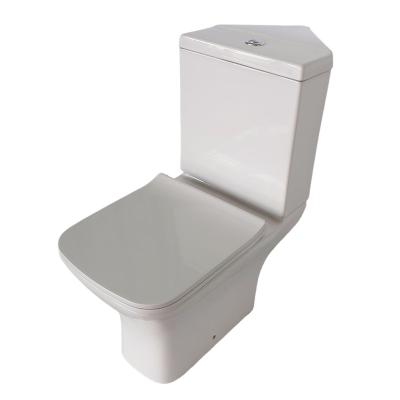 China Hidden Two-Piece Tank Bathroom WC Human Bowl Sizes Wall Hung Washdown Brush Holder Ceramic Sanitary Ware Wall Hung Toilet for sale