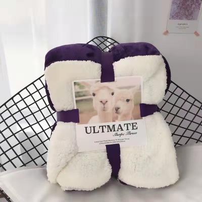 China New Year Promotion Nondisposable Cheap Warm Soft Raschel Mink Blankets Double Layer Lamb Wool Blanket Home Kids Car Blanket for sale