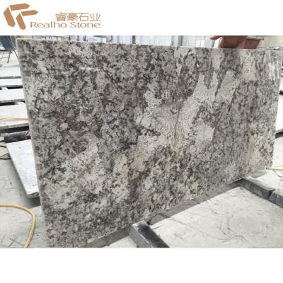 China Bianco Antico Granite For Countertops And Vanity Tops for sale