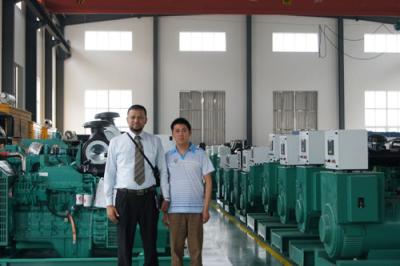 China 160KW Cummins Diesel Generator set (6CTAA8.3-G2) for sale