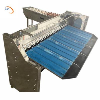 China Vegetable Food Processing Industry Chicken Cubs Sorter Egg Grader Egg Weight Grading Eggs Weight Grading Machine for sale