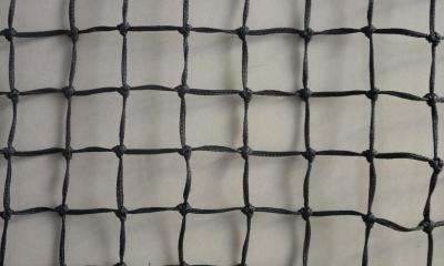 China Braided Polyethylene Netting 50mm/3.0mm-Anti Climb for sale