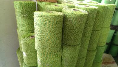 China Braided Polyethylene Twine for sale