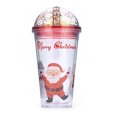 China Sustainable 16oz ACRYLIC Double Wall Skinny Tumbler Bottle With Straw Clear Plastic Drink Cup for sale