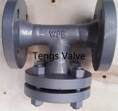 China ANSI & DIN Standards Flanged Welded Body Steel Tee Type Strainer for sale