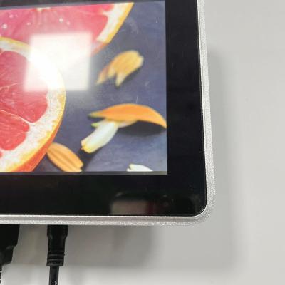 Chine OEM Brightness Embedded LCD Display Monitor 1000 Nits 1024x600 à vendre