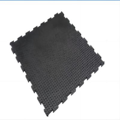 China Portable Horse Interlocking Stable Mats EPDM Surface EVA Bottom for sale