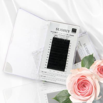 China One Touch Blooming One Second Blooming Velvet Eyelash Extensions Eyelash Extension Individual Group for sale