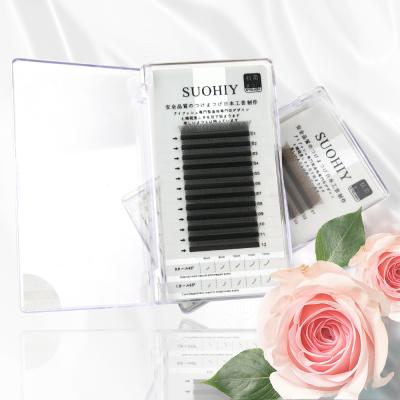 China Long Biggest Natural Eyelash Plant Clover Shaped Lash WW Crisscross Shape Wick W Clover Eyelash Extensions for sale