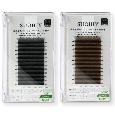 China Natural Long Supply Free Sample 0.07mm Premade Fans W Shape Lashes Clover Eyelash Extensions Lashes Bushy Faux Mink Eyelashes for sale