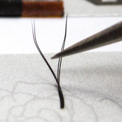 China yy natural good quality long mink shape handmade eyelash extension different dispensers with private label for sale