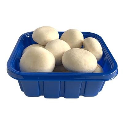 China Factory Directly Disposable Plastic Mushroom Packing Clamshell for sale