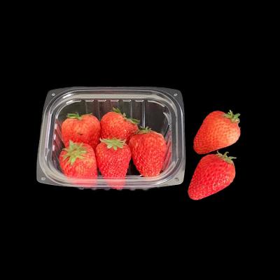 China Transparent Disposable Blister Plastic Packaging Box With Lid for sale