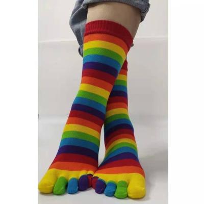 China QUICK DRY Rainbow Striped Five Toe Bangs Colorful Stripes Five Finger Socks Cotton Tube Socks Long for sale