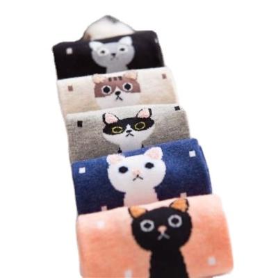 China Cute Cat Cartoon Cotton Boat Women Socks Animal Pattern Ankle Boot Breathable Straight Socks Wholesale Cotton for sale