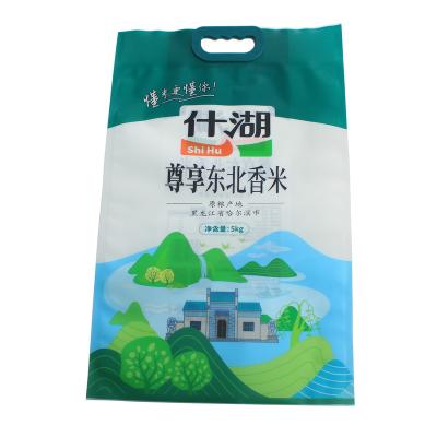 China Moisture proof custom design print 1kg 2kg 2.5kg 3kg 5kg vacuum bopp laminated pp plastic mylar bagged packaging basmati rice packaging bag for sale for sale