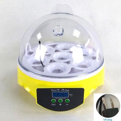 China Factory Home Use Mini Incubator 7 Eggs Digital Temperature Hatchery Egg Incubator Machine for sale