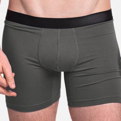 China Brands Antibacterial Mens Underwear Men Boxer Briefs Wholesale for sale