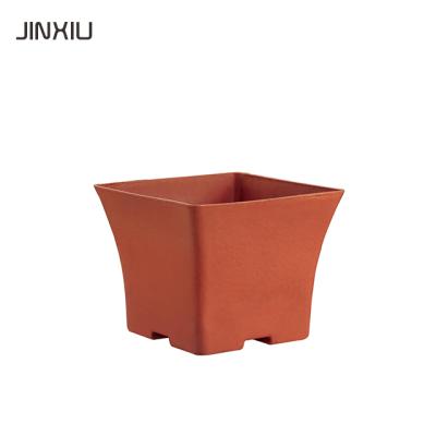 China Morden / traditional durable plastic square seedling basin for potted plants, cactus, seedlings, meat, flowers for sale