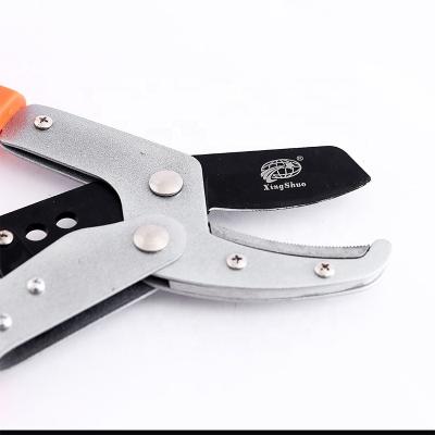 China Straight New Design Product Long Handle Steel Blade Lopping Shears for Gardening for sale