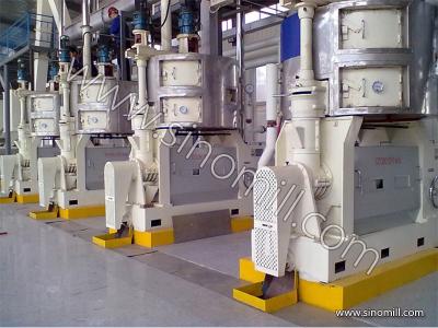 China Brand new 20T Corn Germ Oil Press Machine with cold pressing process for sale