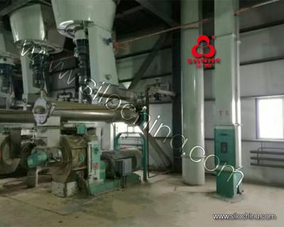 China Ring die pelletizer use for Complete set of Animal Feed Processing Machine Plant for sale