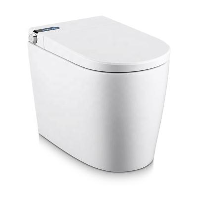 China Dual-Flush Modern Ceramic Floor Mounted S Trap Wc Toilet Bowl Sale Soft Cover White Seat Style Pattern Bathroom Smart Toilet for sale