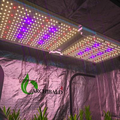 China Seed Starting Archibald Ar 2000 Best Led Grow Led Grow Light 220W Grow Light Lamp From Samsung Lm301B Plant for sale