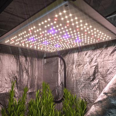 China Seed Starting Archibald AR1000 Indoor Grow Light Led Grow Full Spectrum CIP 110W Led Grow Light Lm301B Led Grow for sale