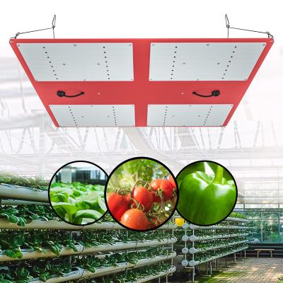 China Seed Seeding Archibald ArQ4 Led Plant Lamp Plant Grow Light Full Spectrum Led Grow Lights Samsung Lm301h 600w Led Grow Light for sale