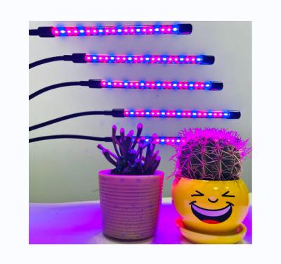 China Dimming Adjustable Flexible Control Goose Necks Clip On Desk Red Blue LED Grow Lights For Pot Growing For Indoor Plants for sale