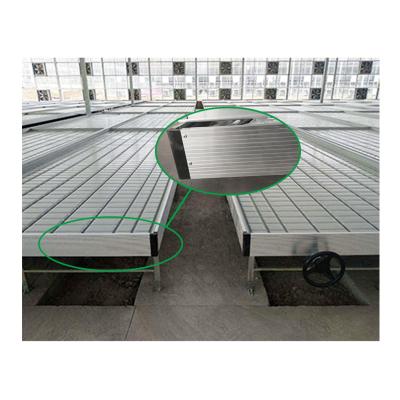 China Agriculture planting greenhouse ebb and flow seedling rolling benches system hydroponic ebb and flow table for sale