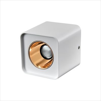 China Modern Premium Quality 8W 12W 24W 1 Head 2 3 4 Head Ceiling Surface Mounted Spot Aluminum Led Light for sale