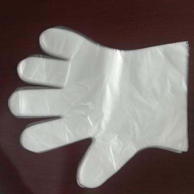 China Transparent disposable pe household cleaning gloves manufacturer for sale