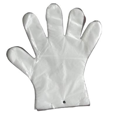 China Clearning food handing transparent plastic pe food grade glove china pe polyethylene glove for sale