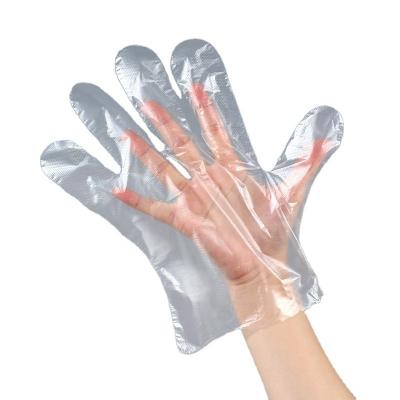 China Polyethylene Clearning Transparent Gloves for sale