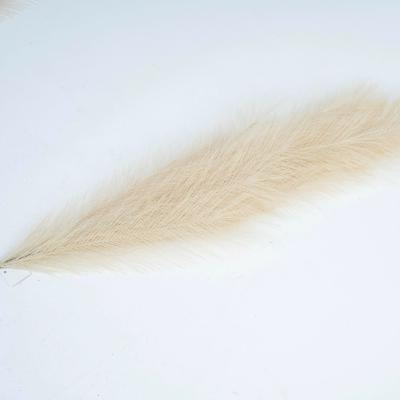 China 15forks Top Selling Natural Amazon Touch Fake Pampas Grass Artificial Pampas Grass For Home Decoration for sale